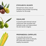 SEEN Restore Scalp Serum, Fragrance Free