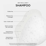 SEEN Shampoo, Fragrance Free