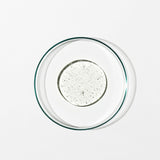 Shampoo: Damsk Rose, Black Pepper, Sage