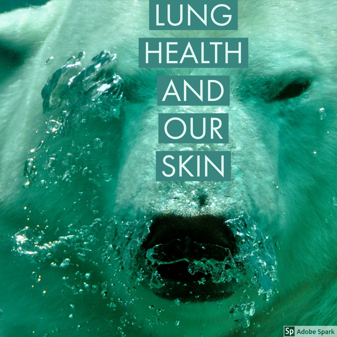 Lung Health and Skin Health