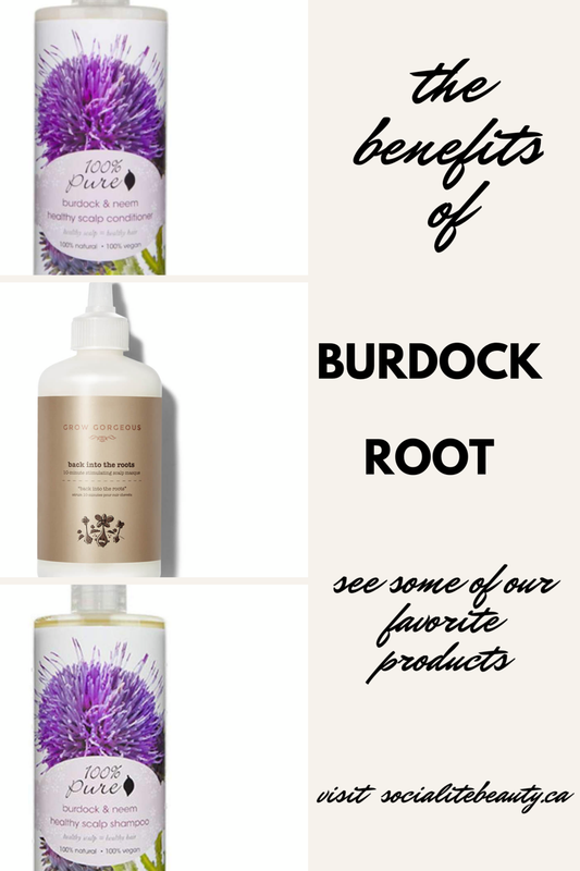 burdock root