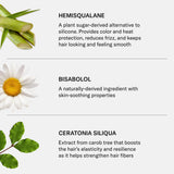 SEEN Curly Creme, Fragrance Free