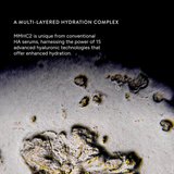 Multi-Molecular Hyaluronic Complex (MMHC2)